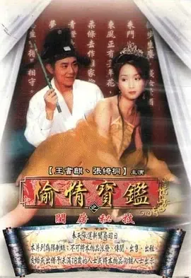 偷情宝鉴2002：围绕偷运翻版货展开追查