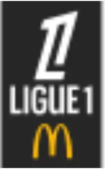 2025-4-27 法甲联赛 南特VS图卢兹